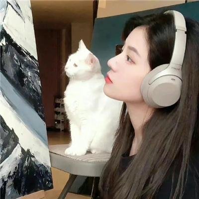 视点锋汇